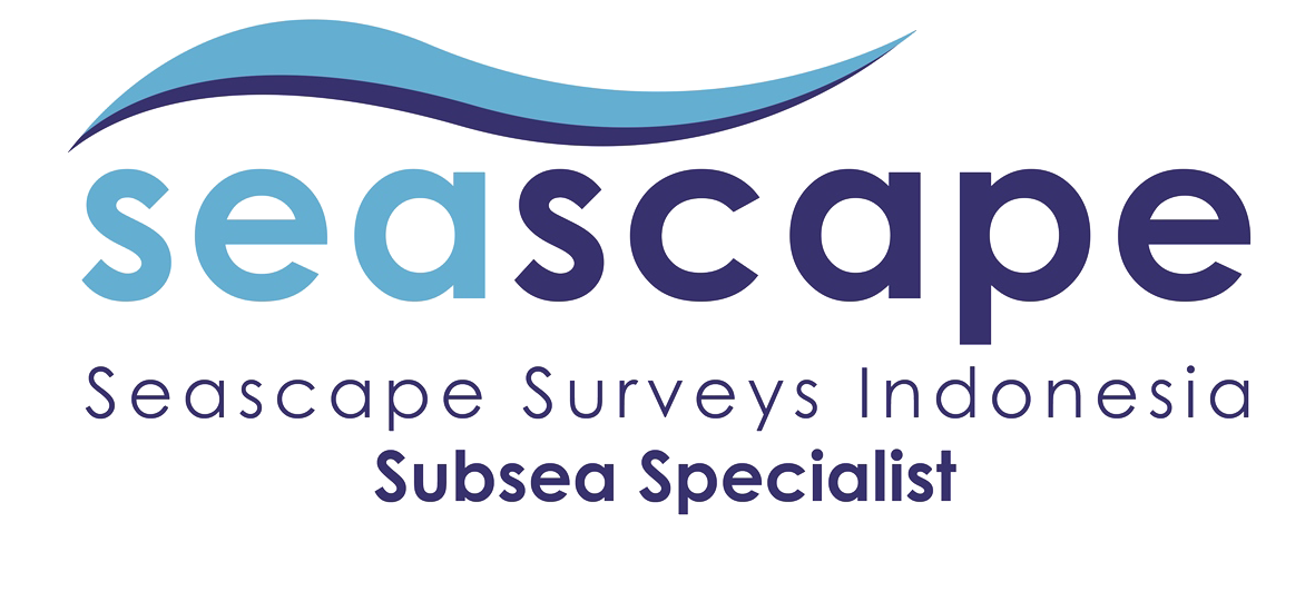 Seascape Surveys | Survey Positioning & Marine Services
